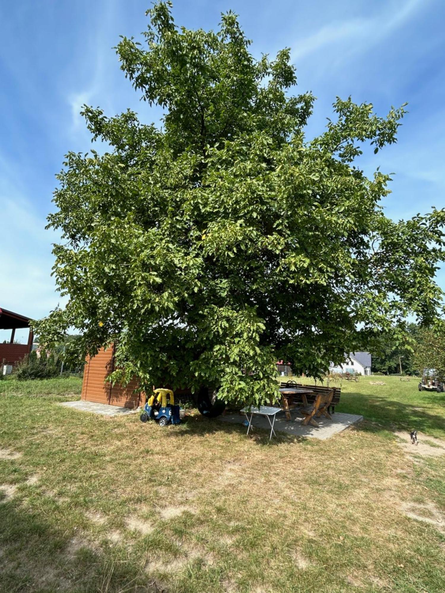 Agroturystyka U Krystyny Moryn Bagian luar foto
